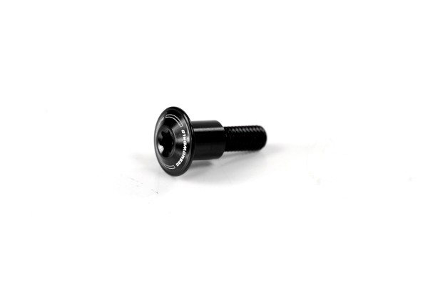 Single screw for eg BMW S1000R