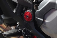 DESMOWORLD Rahmendeckel Serienfußrastenanlage für Ducati Monster 937